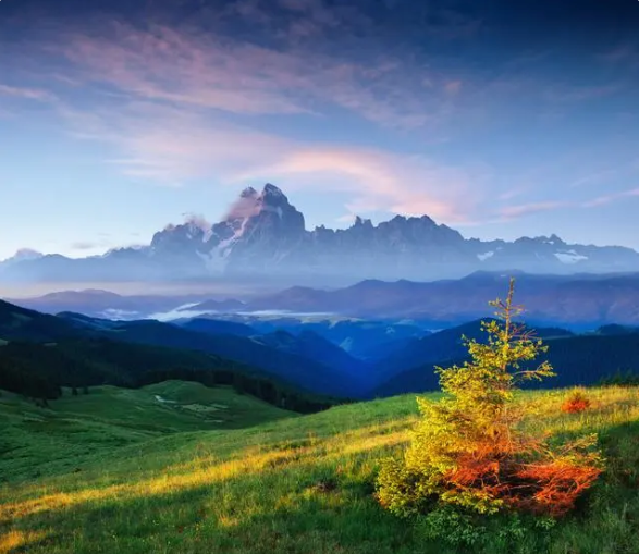 数据治理之元数据管理，元数据（metadata）管理