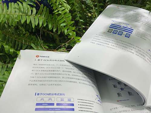 middle_img_v2_5a411200-fe6e-41a5-bf87-e7aae4b3016g