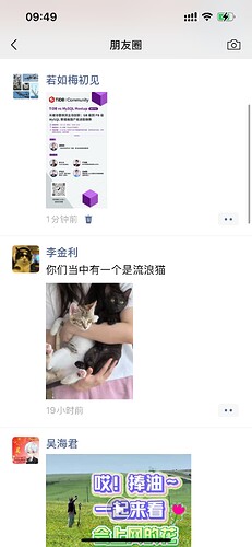 74ef8be8cc8c19c9f9262c31b17bb1e