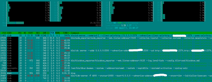 14b454a7b2f79562df5a0141f795291