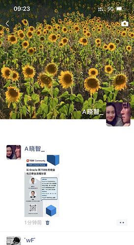 1a2d6cafb402482c939ed66a74486469