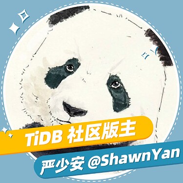 严少安老师