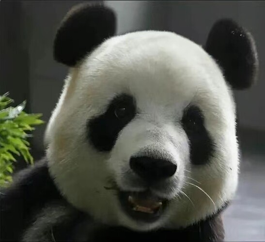 ec39a42b349a7ea33c27dfbb811b6f7