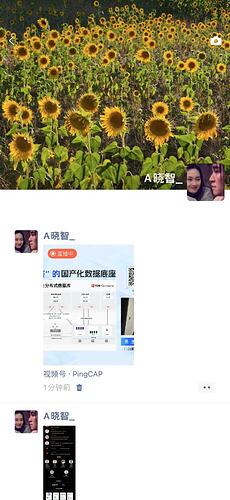 f36faaf1cf42ec28ee725655656e525