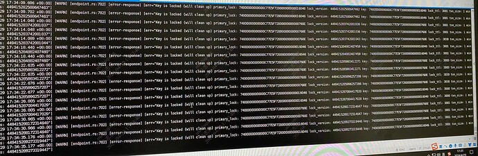 cbe13006d5a68fb94ecde4be2971a7e