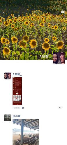 3d7703344640cba4be13e2686e716884