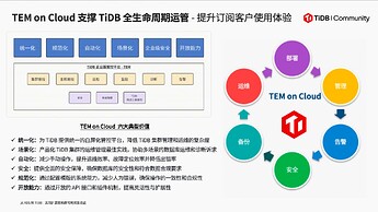 TEM on Cloud 支撑 TiDB 全生命周期运管 - 提升订阅客户使用体验