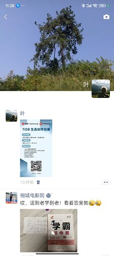 8b623ed42d3a56326116c195931ec716