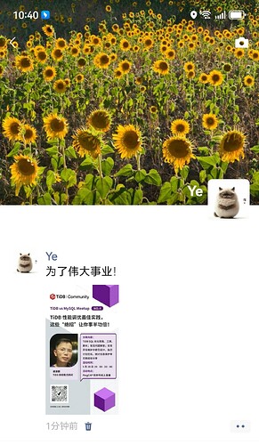 e1644aaf71e0fd6dd9673deaf48fd49