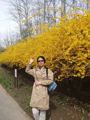 34e49885a2a54c9c4239ac41662908d