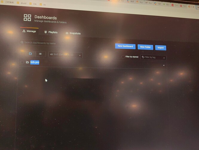 1704446257005
