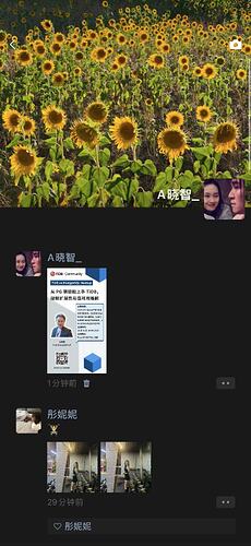 3a27cff95afdd78a80c4f6e6f555ea9