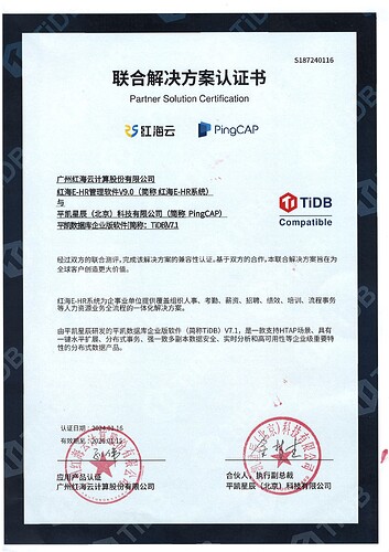 盖章版-联合解决方案认证书-1