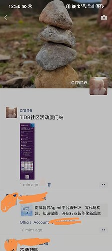 微信图片_20250729125244