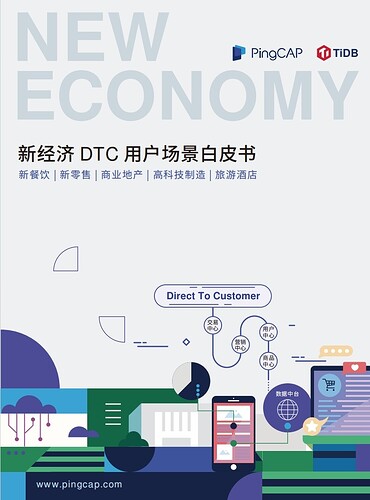 新经济白皮书封面