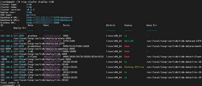 Snipaste_2025-12-05_21-41-17